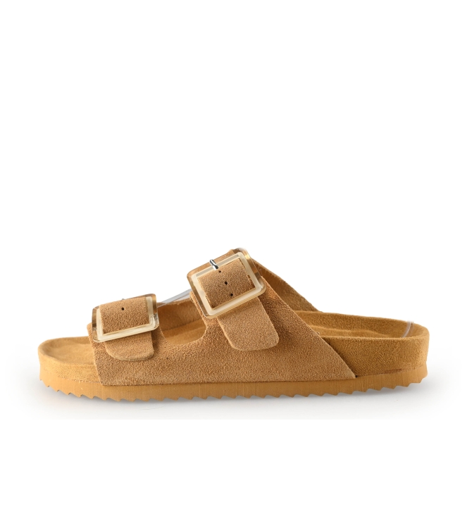 Colors of California Muiltjes