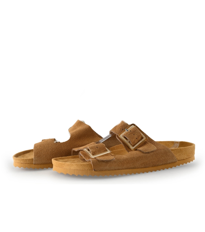 Colors of California Muiltjes