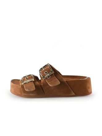 Colors of California Muiltjes Bruin 315095