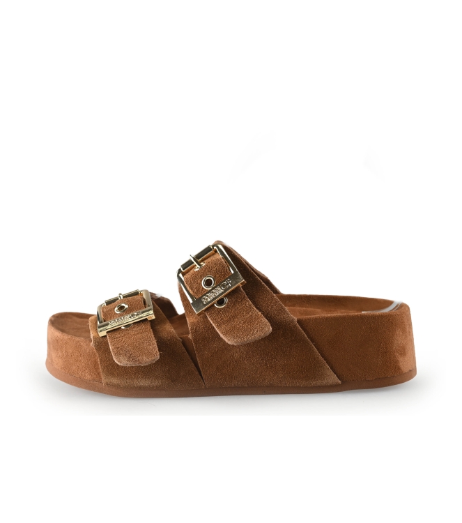 Colors of California Muiltjes