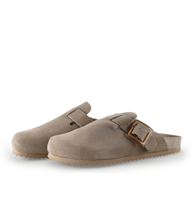 Colors of California Muiltjes