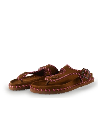 Colors of California Slippers Bruin 315141