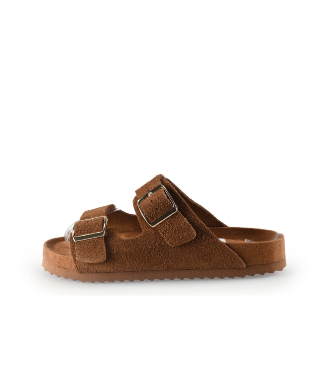 Colors of California Muiltjes