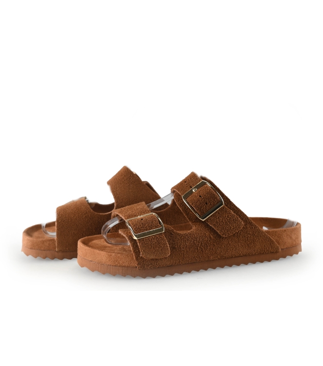 Colors of California Muiltjes