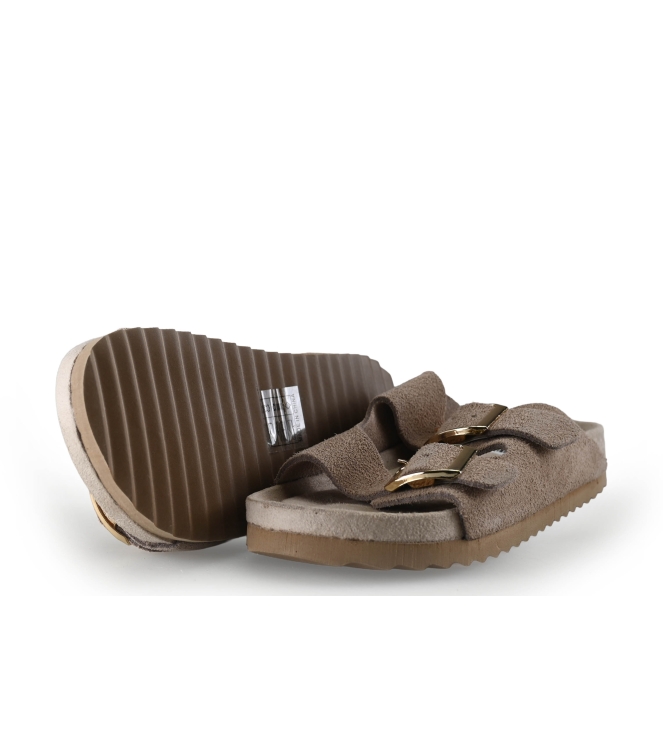 Colors of California Muiltjes