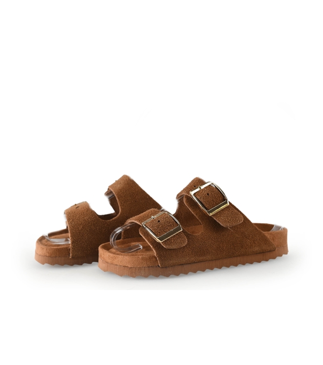 Colors of California Muiltjes