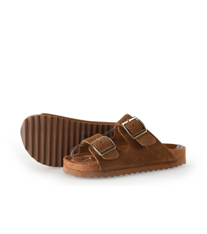 Colors of California Muiltjes