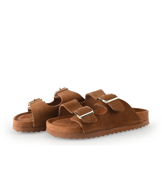 Colors of California Muiltjes