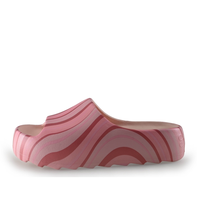 Colors of California Muiltjes