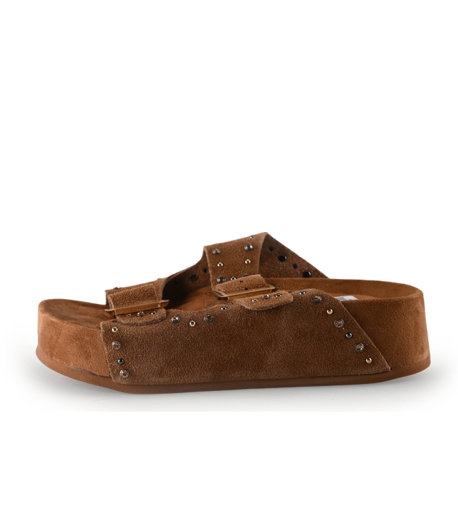 Colors of California Muiltjes