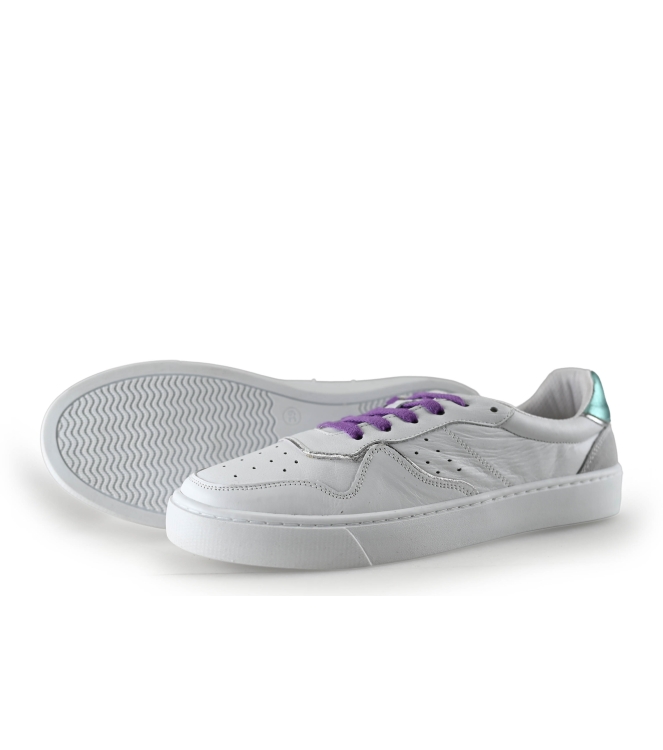 Colors of California Sneakers