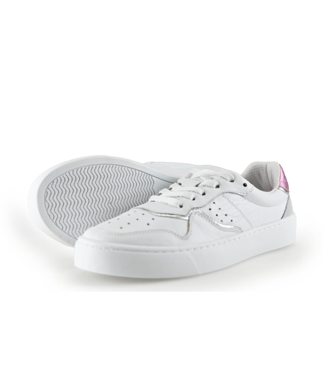 Colors of California Sneakers