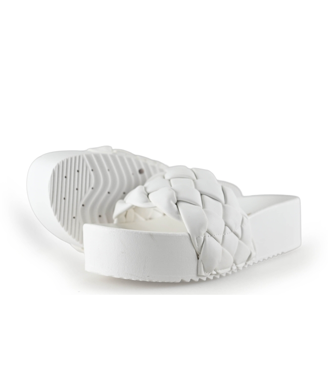 Colors of California Muiltjes