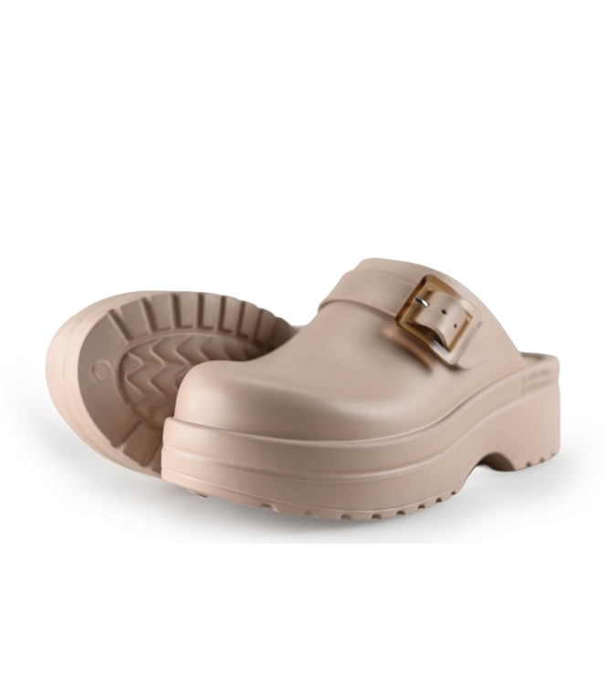 Colors of California Muiltjes