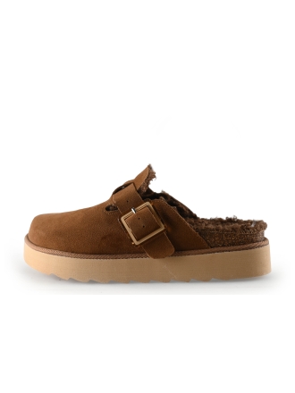 Colors of California Muiltjes Bruin 315483