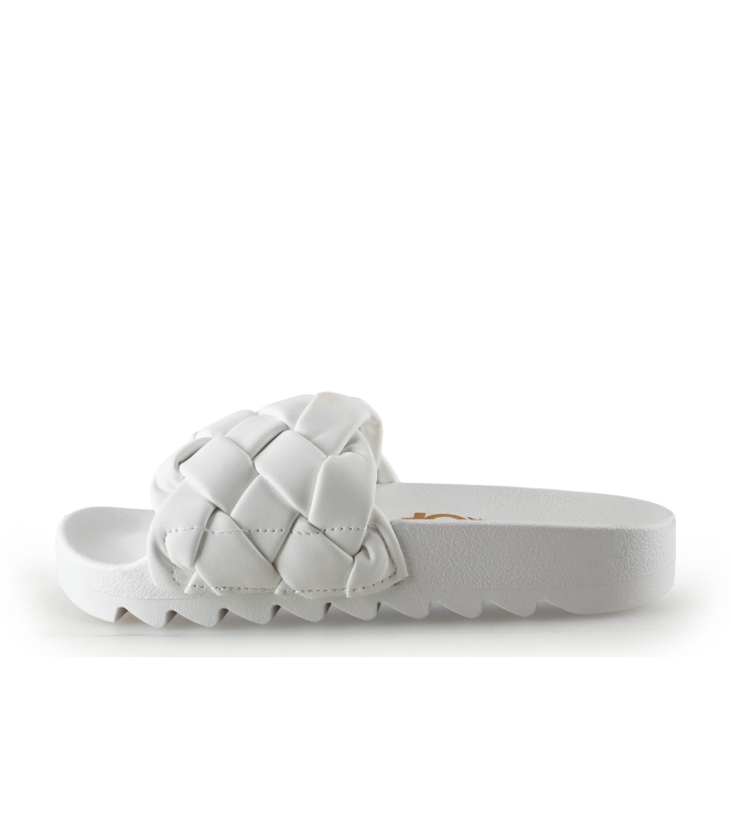 Colors of California Muiltjes