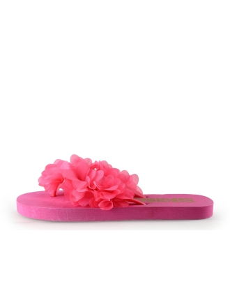 Colors of California Slippers Roze 315565
