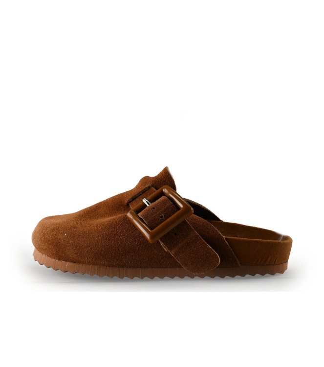 Colors of California Muiltjes