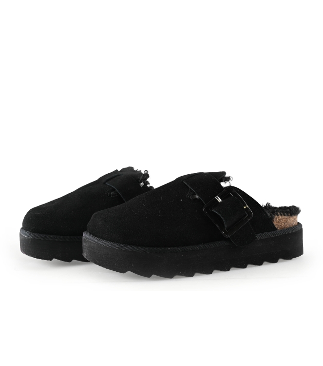 Colors of California Muiltjes