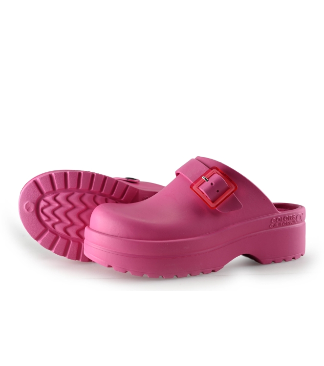 Colors of California Muiltjes