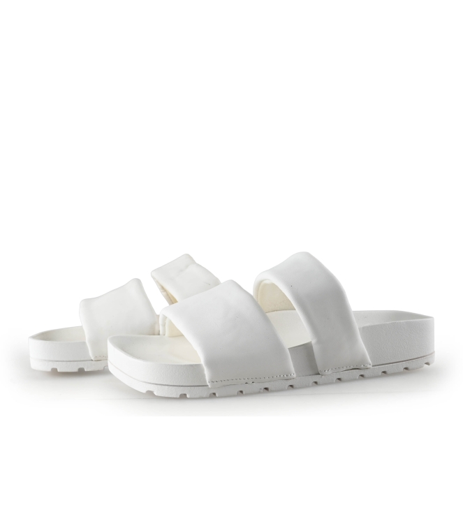 Colors of California Muiltjes