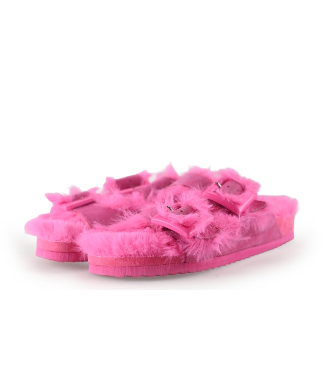 Colors of California Muiltjes