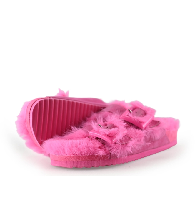 Colors of California Muiltjes