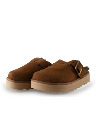 Colors of California Muiltjes Bruin 315814