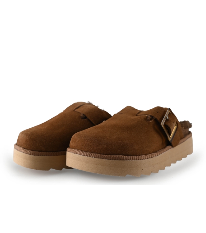 Colors of California Muiltjes