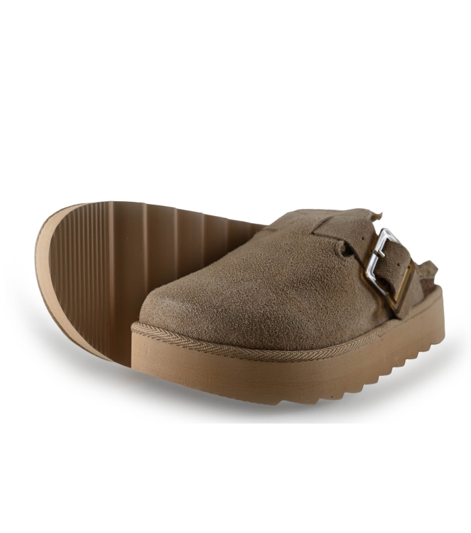 Colors of California Muiltjes