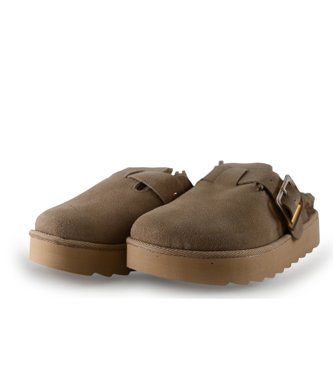 Colors of California Muiltjes