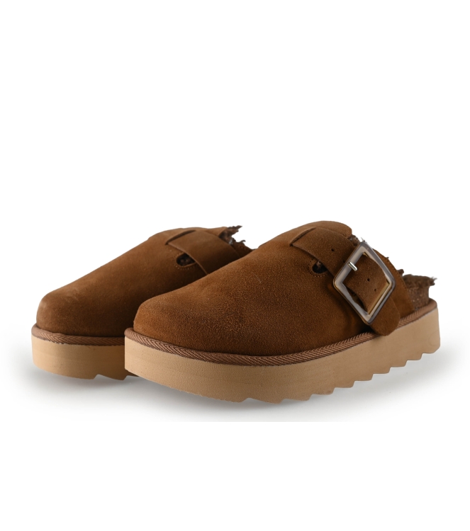 Colors of California Muiltjes