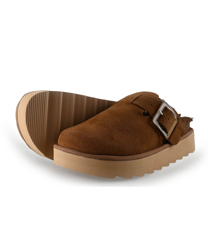 Colors of California Muiltjes