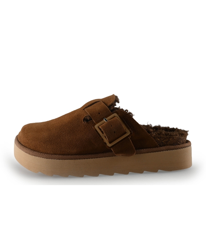 Colors of California Muiltjes