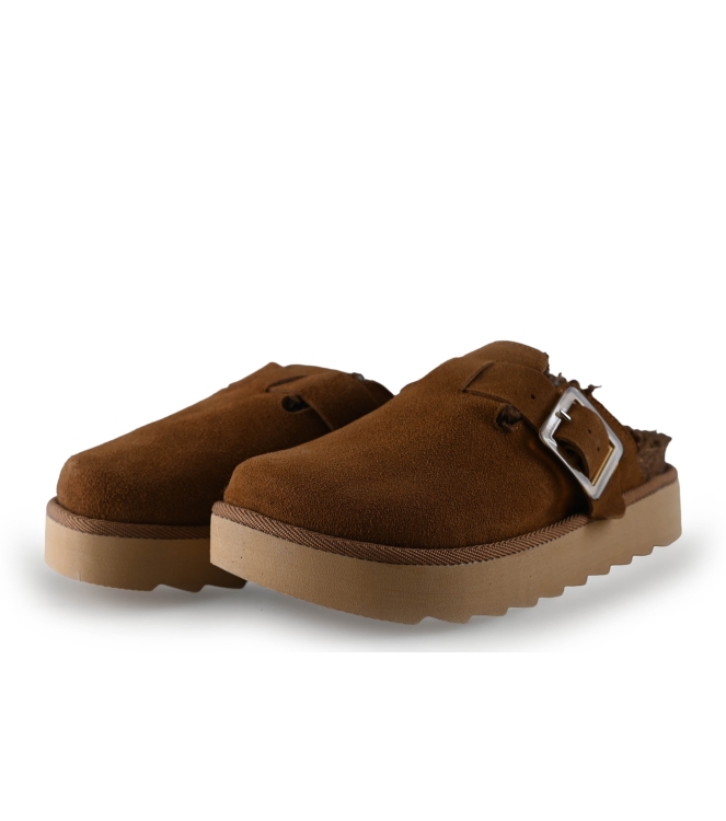 Colors of California Muiltjes