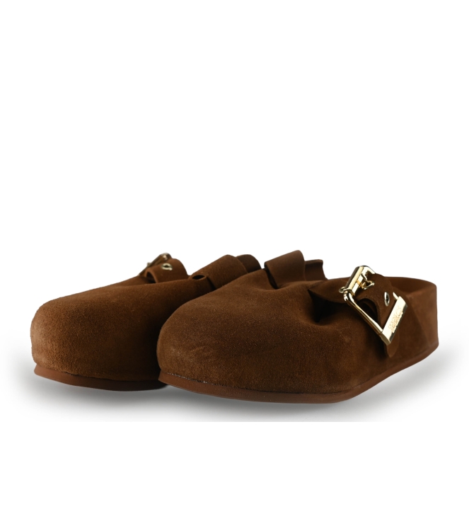 Colors of California Muiltjes