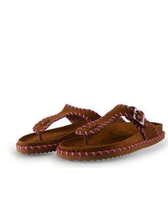 Colorsofcalifornia Sandalen Bruin 315853