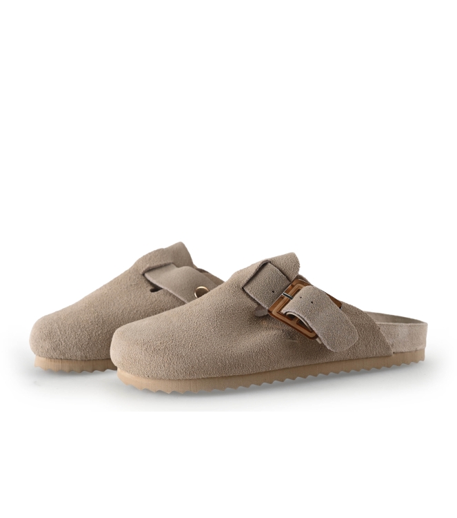 Colors of California Muiltjes