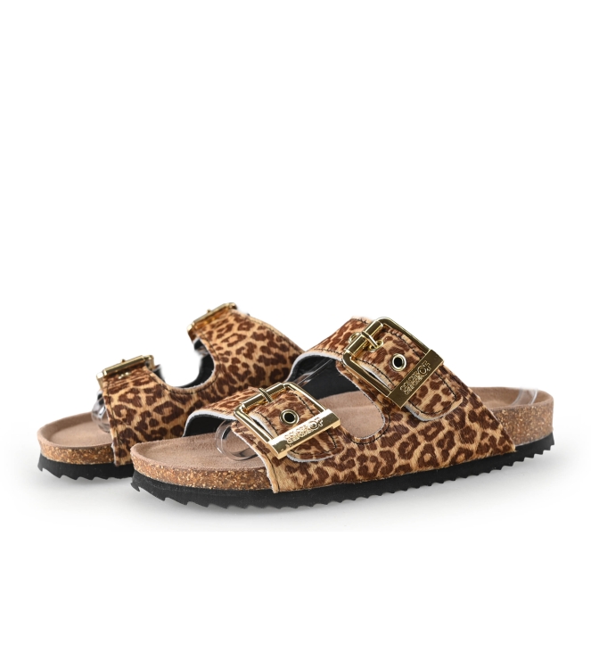 Colors of California Muiltjes