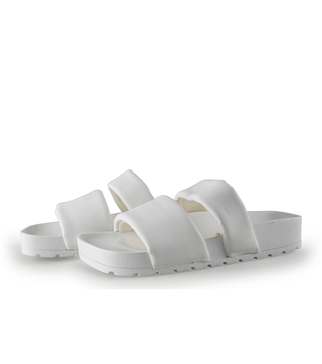 Colors of California Muiltjes