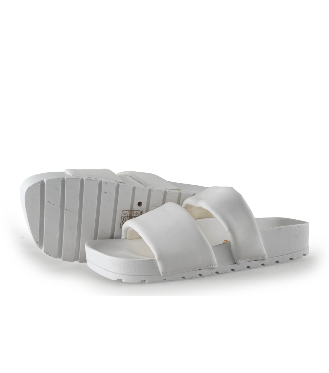 Colors of California Muiltjes