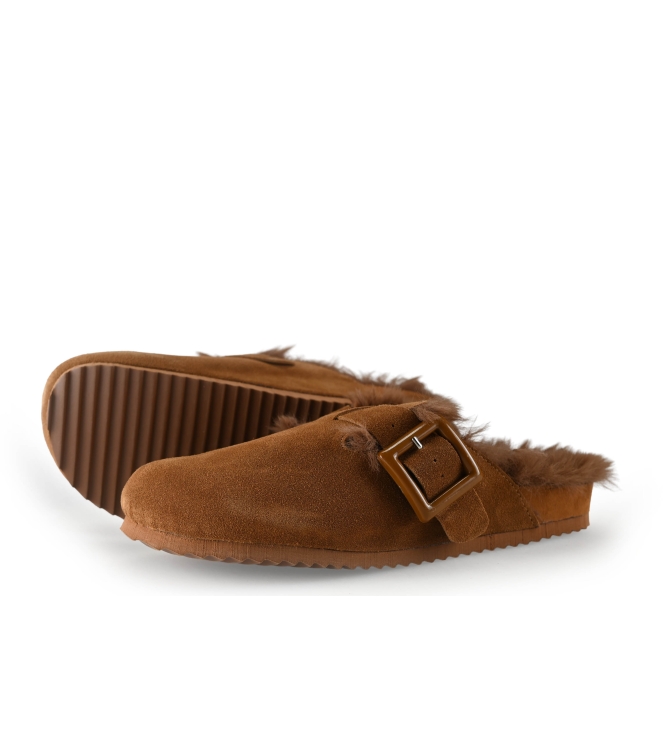 Colors of California Muiltjes