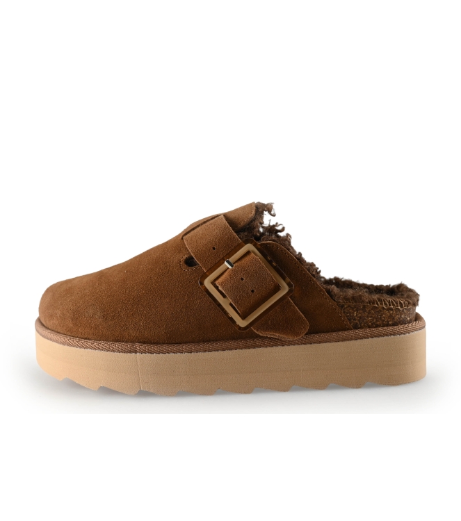 Colors of California Muiltjes