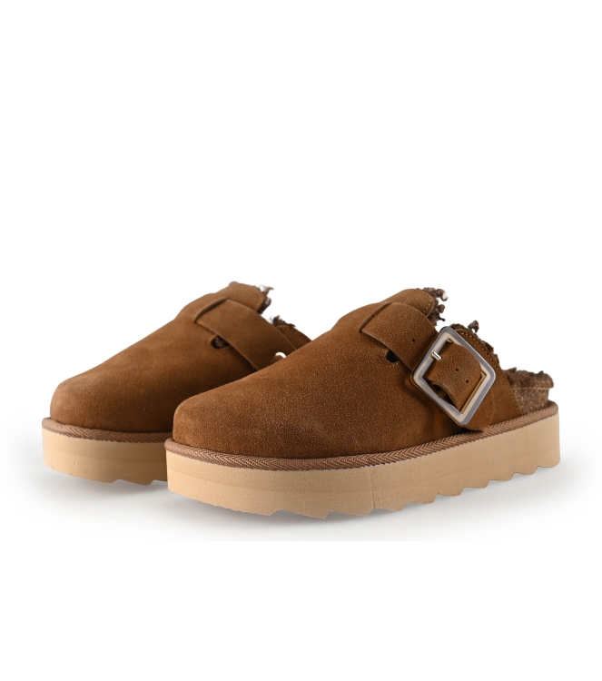 Colors of California Muiltjes