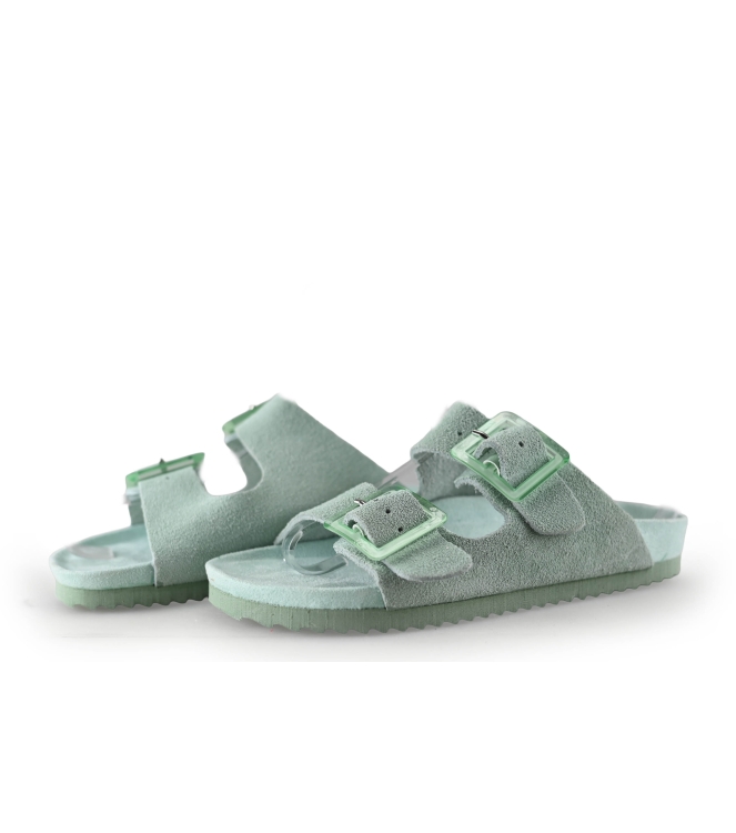 Colors of California Muiltjes