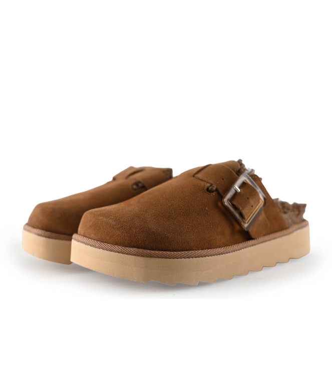 Colors of California Muiltjes