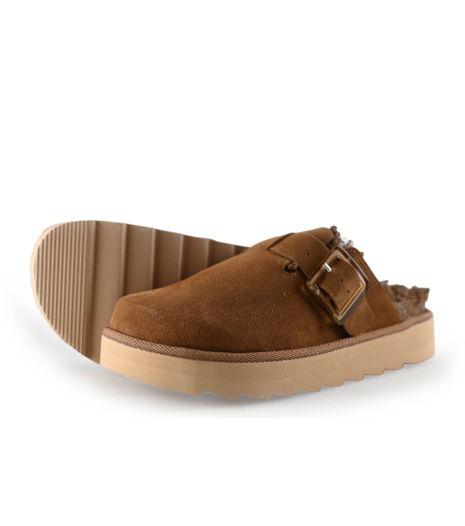 Colors of California Muiltjes