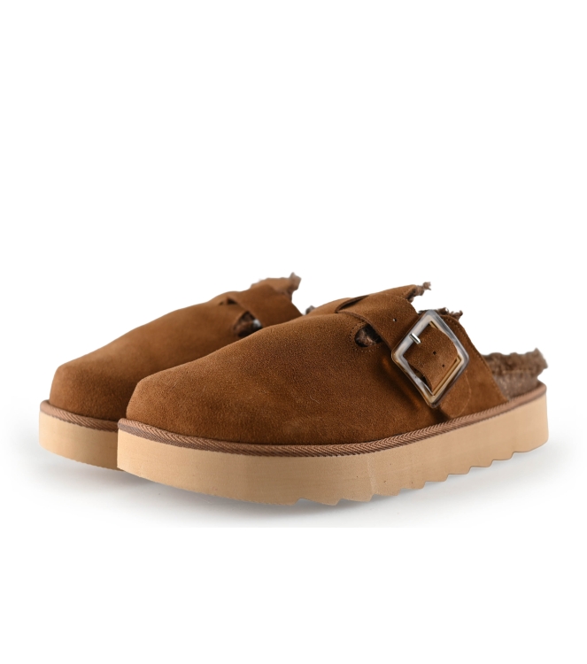 Colors of California Muiltjes