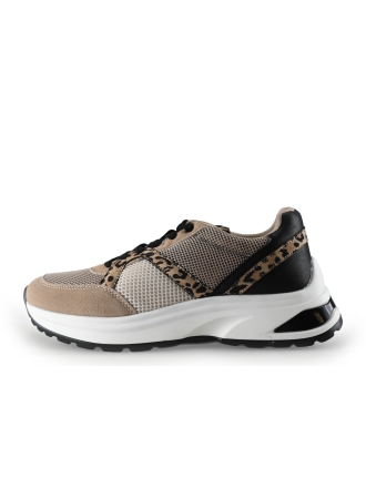 Cellini Sneakers Beige 316481