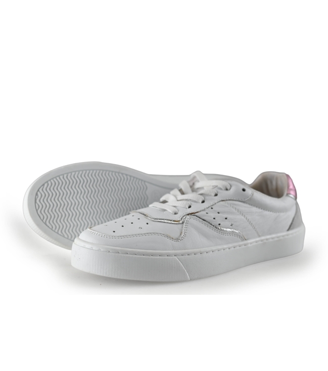 Colorsofcalifornia Sneakers